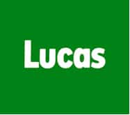 Logo Lucas : Nom de marque blanc sur fond vert vif Logo Lucas en lettres blanches épaisses sur fond vert uni.